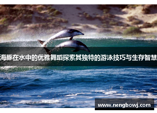 海豚在水中的优雅舞蹈探索其独特的游泳技巧与生存智慧